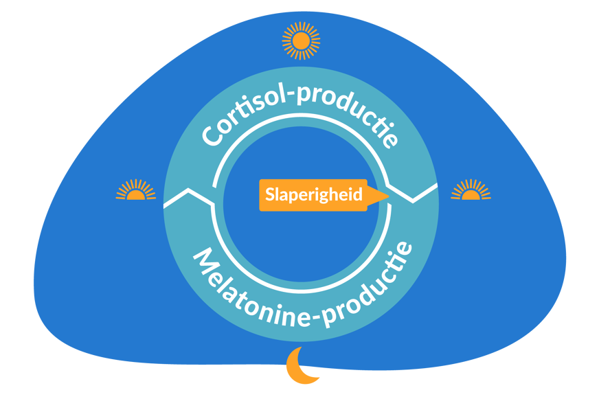 melatonine vs. cortisol